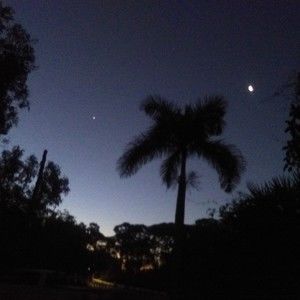 Meet your Posher, Alfred